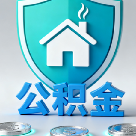 定安公积金代办行业观察：谁在提供专业服务？