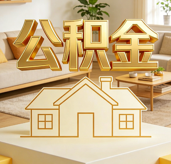 定安公积金代办服务升级：从“跑腿”到“智办”，专业服务成新刚需